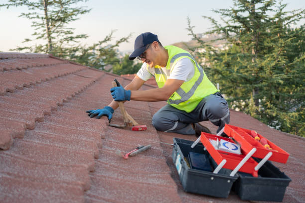 Best Roof Maintenance Services  in Fruitvale, CO