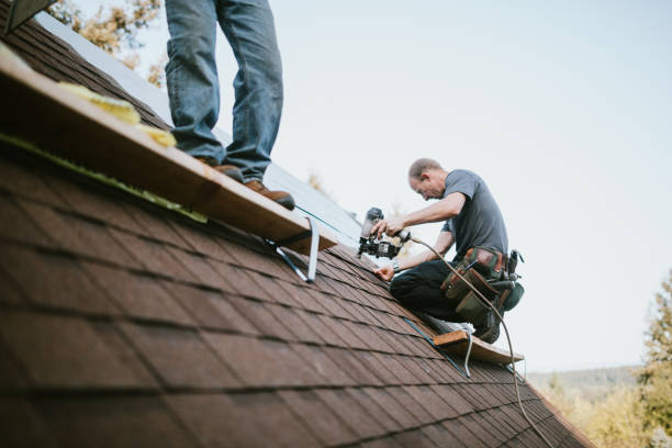 Quick and Trustworthy Emergency Roof Repair Services in Fruitvale, CO